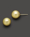 Cultured golden South Sea pearl earrings in 14K yellow gold