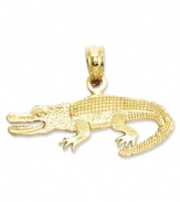 Give your look a little extra bite. This polished and textured alligator charm is crafted in 14k gold. Chain not included. Approximate length: 3/5 inch. Approximate width: 9/10 inch.