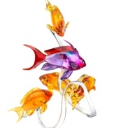 Swimming along in a sea of crystal, the Swarovski sea goldies figurines highlight the striking differences between the species' fuchsia male and golden female fish. Featuring a silvertone metal stand reminiscent of their natural Indian Ocean habitat.