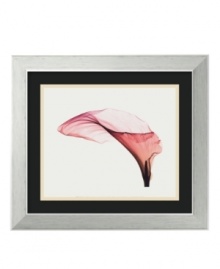 Steven N. Meyers brings the sheer beauty of a calla lily to light in this simply beautiful art print. Combining a brushed stainless steel look and feel with an eco-friendly core, the accompanying frame boasts ultra-modern appeal.