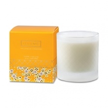 Transport yourself with the intoxicating aromas of orange blossom, mandarin and bergamot.