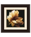 Sepia magnolia. Delicate petals form a perfect bloom in Timeless Grace III by Charles Britt. Floating on a dark ground, this floral portrait is a fresh perspective on the natural world. Framed in espresso wood.