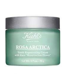 Recharge Cells. Jolt Back Youth. Kiehl's revolutionary youth regenerating cream is formulated with a rare Resurrection Flower, celebrated for its ability to survive the harshest conditions. Used twice daily, skin is jolted back to youth - smoother, firmer and denser. This youth regenerating cream is formulated with a rare Resurrection Flower and is hand-harvested at full bloom to ensure efficacy. The incredibly resilient flower is able to survive up to 31 months of extreme dehydration and when proper moisture conditions are restored, it returns to life within hours. The cell-reviving nutrients and vitality of the rare flower is infused at optimal levels in the Rosa Arctica formulation igniting the skin's ability to begin repair and triggering the return to youthful-looking skin.