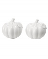 Carve out a space on the harvest table for Pumpkin serveware. At once festive and elegant, Martha Stewart Collection's figural salt and pepper shakers are crafted of glazed white porcelain to complement any setting.