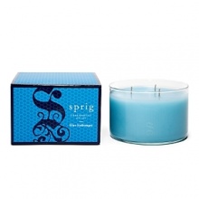 Blue hydrangea and Casablanca lily are combined with the bold essence of Persian melon and fresh aquatic notes. Votive Candle burns approximately 20 hours.