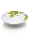 Forever spring. Bright new leaves plucked just for your table drape this soup bowl for a fresh, modern look. From Mikasa dinnerware, the dishes of this Daylight set are durable and stylish in white porcelain with a fluid shape that broadens from base to rim.