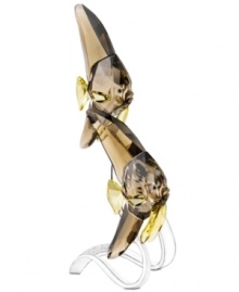 Appearing to float through the air, this pair of elegant batfish is suspended on a silvertone metal display with embossed coral detail. Smoky quartz and golden Swarovski crystal is beautifully faceted to resemble the majestic undersea creature.