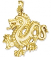 Symbolic for the universe, life, existence, and growth, this polished dragon charm makes a unique and special gift. Crafted in polished 14k gold. Chain not included. Approximate length: 9/10 inch. Approximate width: 7/10 inch.