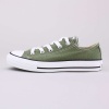 Converse Chuck Taylor All Star Low