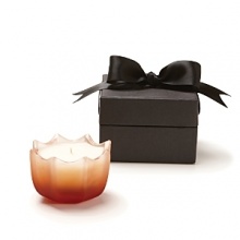 This elegantly scalloped D.L. & Co. candle contains an evocative fragrance blend of rockrose, benzoin and vanilla. Comes in an exquisite black ribboned box for the perfect gift.