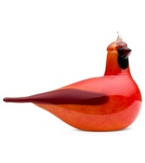 A vibrant red body and tufted head of make the iittala cardinal as distinct as its inspiration. First hatched in 1972 by artist Oiva Toikka, the fanciful Birds collection captures the nuances of each creature in beautiful mouth-blown glass.