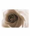 Get a rosier perspective with Leftbank's impressive canvas print of a rose in all its stunning detail. The elegant sepia wash compliments many interior styles and color schemes, making this Leftbank print a classic home accent.