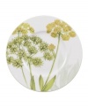 A natural for casual dining, the Althea Nova bread and butter plate by Villeroy & Boch features durable porcelain planted with delicate herbs for a look that's fresh from the garden. With green trim.