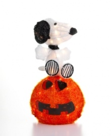 Snoopy takes a seat on the Great Pumpkin of Linus' imagination in Kurt Adler's comical Halloween lighting display. A favorite for Peanuts fans!