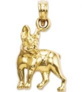 Pay tribute to your favorite breed! This adorable Boston Terrier charm will melt your heart. Crafted in polished 14k gold. Chain not included. Approximate length: 4/5 inch. Approximate width: 1/2 inch.