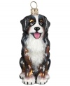 Puppy love at first sight. Just begging for a home, this Bernese Mountain dog ornament is irresistible to animal lovers in hand-painted glass by Joy to the World.