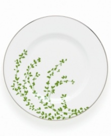 An instant classic from kate spade, this Gardner Street Green salad plate exudes contemporary elegance. Green stems of foliage flourish on fine white bone china, creating a stylized two-tone floral motif to freshen up your table.