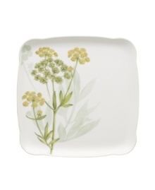 A natural for casual dining, the Althea Nova Charm square platter features durable porcelain planted with delicate herbs for a look that's fresh from the garden. The square plates collection from Villeroy & Boch is finished with a subtly scalloped, grass-green edge.