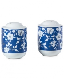 A classic beauty, Blue Meadow salt and pepper shakers feature delicate blooms rooted in fuss-free Pfaltzgraff stoneware. Crisp blue highlights in pure white refresh country settings with effortless elegance.