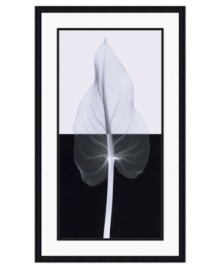 Steven Meyers sheds new light on the simple yet unequivocal grace of a calla leaf. A combination of x-ray images reveals the unexpected shadows and intricacies of nature in this incredible art print.