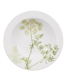 A natural for casual dining, the Althea Nova rim cereal bowl by Villeroy & Boch features durable porcelain planted with delicate herbs for a look that's fresh from the garden. With green trim.