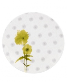 Artsy florals and funky dot designs collide on the eclectic and dreamy Watercolors Citrus salad plates from Lenox Simply Fine. A sleek silhouette and sophisticated palette of gray, white and olive create a fresh, modern look for casual meals. Qualifies for Rebate