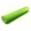 Dreamgear Exercise Mat for Nintendo Wii Fit Light Green. Christmas Shopping, 4% off plus free Christmas Stocking and Christmas Hat!