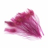 10X Natural Peacock Feather Dyeing House Decoration Rose Red. Christmas Shopping, 4% off plus free Christmas Stocking and Christmas Hat!