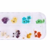 12pcs Real Dried Flower Nail Art Decoration 29. Christmas Shopping, 4% off plus free Christmas Stocking and Christmas Hat!