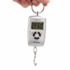 0-10Kg x 5g & 10-45Kg x 10g LCD Double Precision Digital Luggage Scales Silver. Christmas Shopping, 4% off plus free Christmas Stocking and Christmas Hat!