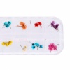 12pcs Real Dried Flower Nail Art Decoration 6. Christmas Shopping, 4% off plus free Christmas Stocking and Christmas Hat!