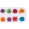 12pcs Real Dried Flower Nail Art Decoration 7. Christmas Shopping, 4% off plus free Christmas Stocking and Christmas Hat!