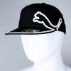 Puma Monoline Fitted Hat