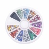 12 Colors 3000pcs + Wheel Nail Art Glitter Tips Rhinestone Flower. Christmas Shopping, 4% off plus free Christmas Stocking and Christmas Hat!