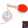 RS-328-8 Decorative Car Auto Light 12V Blue. Christmas Shopping, 4% off plus free Christmas Stocking and Christmas Hat!