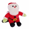 High Plush Santa Claus USB PC Webcam. Christmas Shopping, 4% off plus free Christmas Stocking and Christmas Hat!