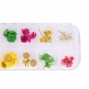 12pcs Real Dried Flower Nail Art Decoration 26. Christmas Shopping, 4% off plus free Christmas Stocking and Christmas Hat!