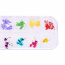 12pcs Real Dried Flower Nail Art Decoration 18. Christmas Shopping, 4% off plus free Christmas Stocking and Christmas Hat!