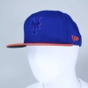 New Era New York Mets Raised Flock 2 59FIFTY