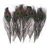 10pcs Natural Peacock Feather House Decoration. Christmas Shopping, 4% off plus free Christmas Stocking and Christmas Hat!