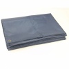 Blue Ultra-Light Silvering Mat. Christmas Shopping, 4% off plus free Christmas Stocking and Christmas Hat!