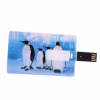 4GB Four Penguin Credit Card USB Flash Drive. Christmas Shopping, 4% off plus free Christmas Stocking and Christmas Hat!