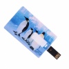 16GB Four Penguin Credit Card USB Flash Drive. Christmas Shopping, 4% off plus free Christmas Stocking and Christmas Hat!