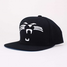 Reebok Carolina Panthers Face Highlight Snapback